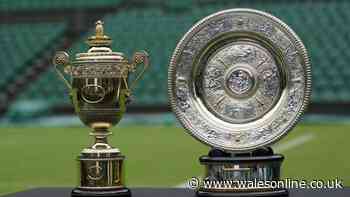 How much will Jannik Sinner and Alexander Zverev earn? Wimbledon final prize money