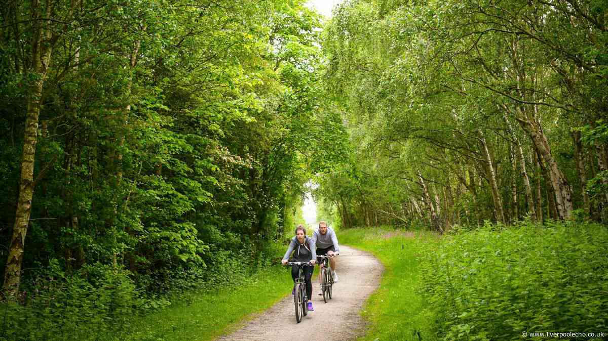 Liverpool's longest walking trail with river views and beautiful parks you might not finish