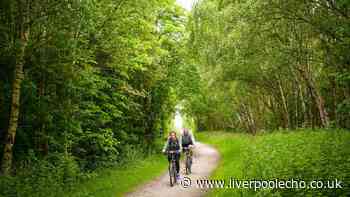Liverpool's longest walking trail with river views and beautiful parks you might not finish