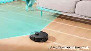 'I come home to nice clean floors' thanks to Robot vac that 'sucks up so much dust'
