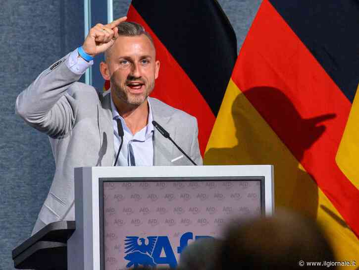 I 100 giorni Afd: classi per stranieri, Lgbt vietato e storia riscritta