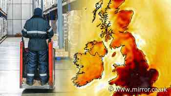 Food and medicine chain on the brink as heatwaves push chilled warehouses to limit