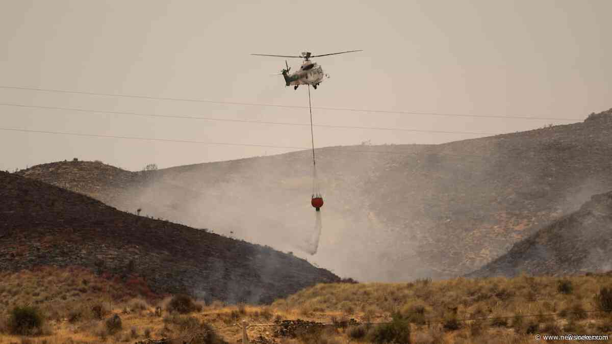 Brandweer heeft dodelijke bosbrand in Spanje onder controle