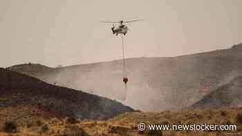 Brandweer heeft dodelijke bosbrand in Spanje onder controle
