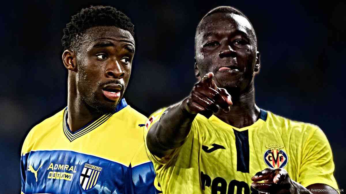 Potential Idrissa Gueye replacements share key skill ahead of big Everton transfer decision