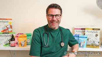'I'm a vet and this is why your dog eats grass'