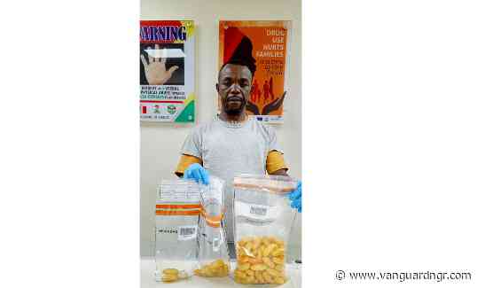 NDLEA intercepts 100 wraps of meth from okada rider, seizes N10.3bn cannabis at Lagos port