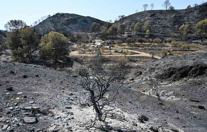 Incendio forestal en España fue estabilizado: permiten el regreso de los desalojados