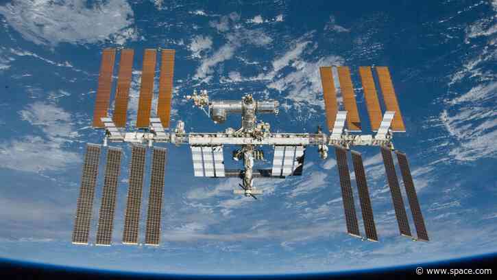 Space medicine breakthrough? Kidney and liver tissue bioprinted off Earth for 1st time ever