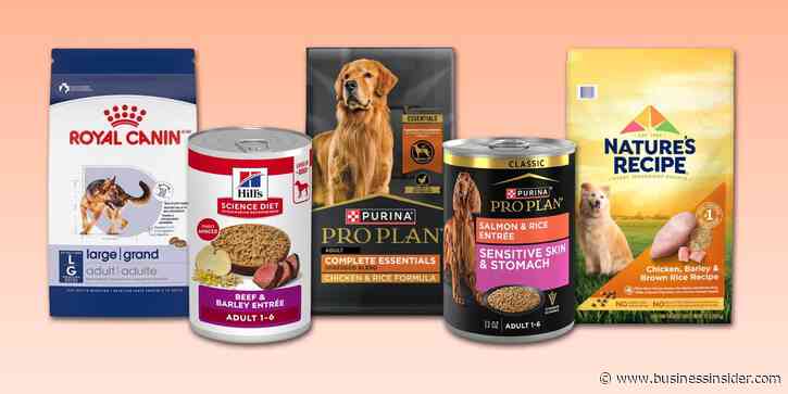 Best dog food 2026, with advice from vets