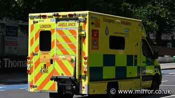 Woman, 24, dead and man seriously injured after horrific double stabbing