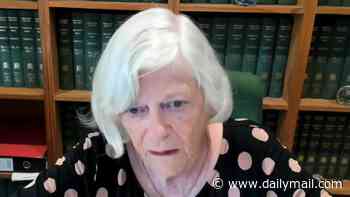 Police reveal man, 28, arrested over Ann Widdecombe 'murder' is from Rotherham and counter-terrorism cops were involved in raid as officers say attack was not politically motivated