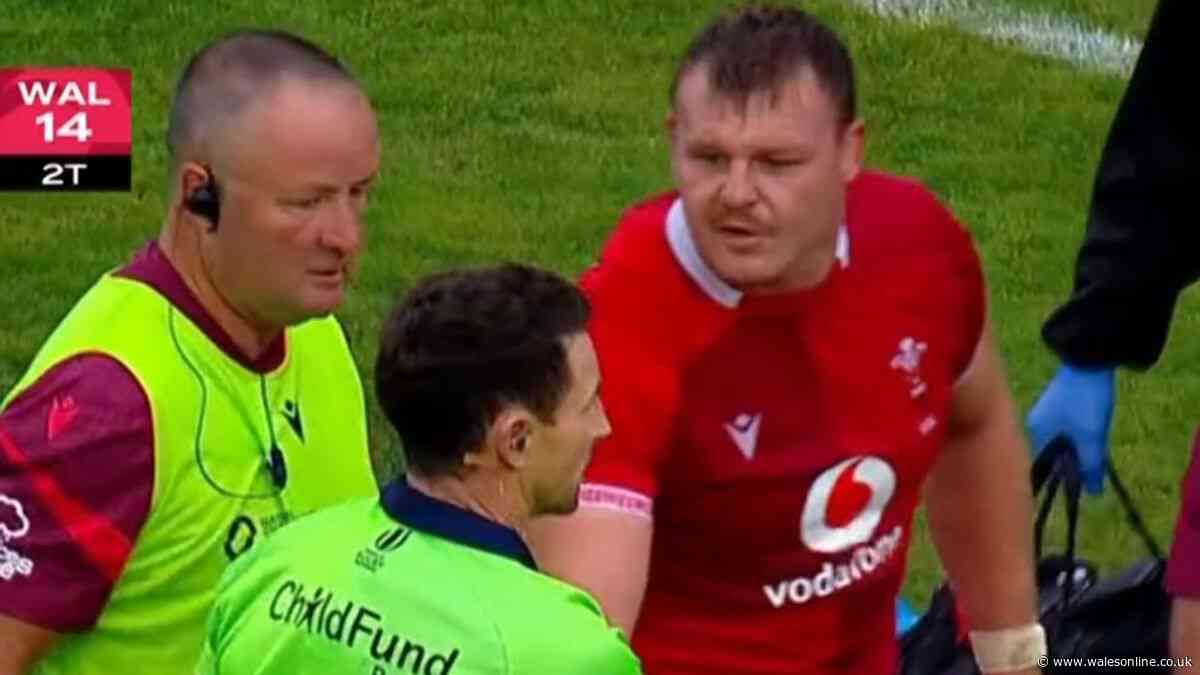Dewi Lake's actions as he left pitch say it all as TV mics pick up ref exchange