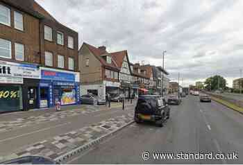 Man arrested on suspicion of murder after woman, 24, killed in South London double stabbing