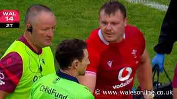 Dewi Lake's actions as he left pitch say it all as TV mics pick up ref exchange