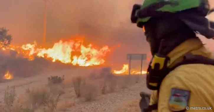 British man killed in Spain wildfire ‘was on phone to wife in his final moments’