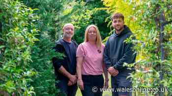 Owners of Cardiff garden centre on why they're walking away and letting the council bulldoze it