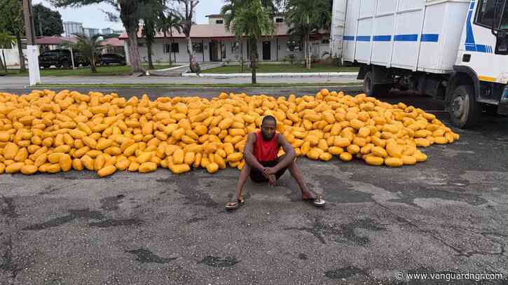 Troops intercept truck with illicit drugs along Lagos-Calabar Coastal Road