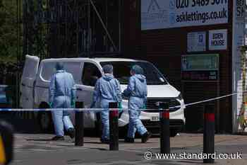 Man arrested on suspicion of murder after woman, 24, killed in West London double stabbing