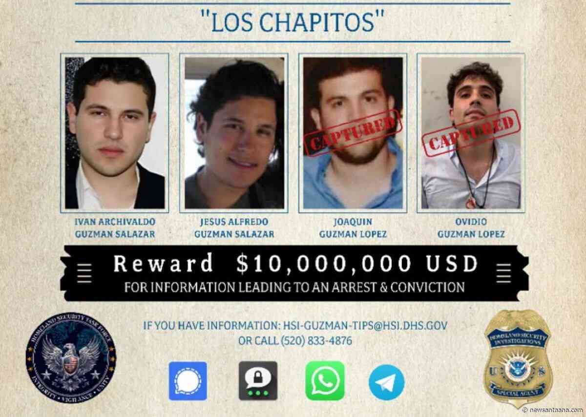 $10M reward offered for Los Chapitos