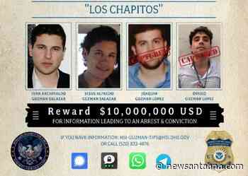 $10M reward offered for Los Chapitos