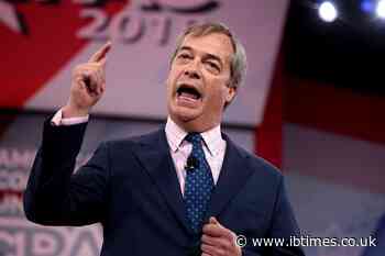 'Premeditated Murder': Nigel Farage Rubbishes Burglary Theory in Ann Widdecombe Death