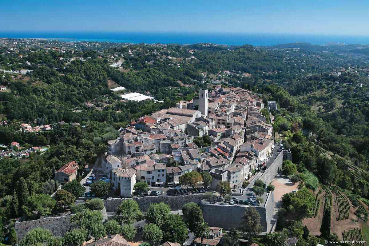 Un arbre chute sur la chaussée et bloque une route empruntée entre Saint-Paul et Vence