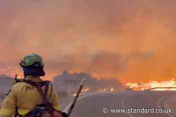Two British hikers found alive but badly burned following Spanish wildfires