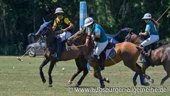 In Schwifting wird wieder Polo gespielt