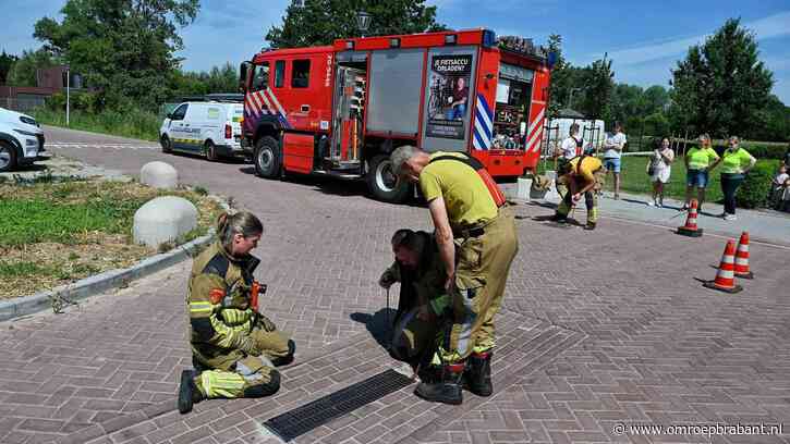 Kat urenlang vast in ondergrondse buis, brandweer spoelt er water door