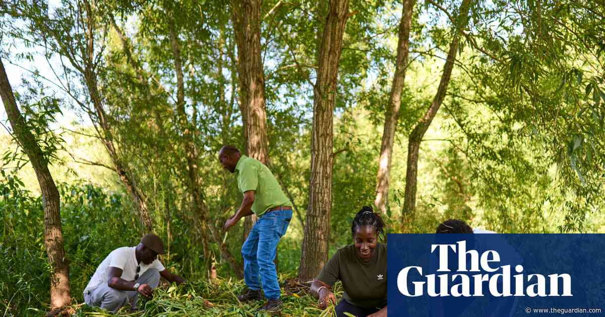 ‘We plant belonging’: how nature charities and asylum seekers work together in UK countryside