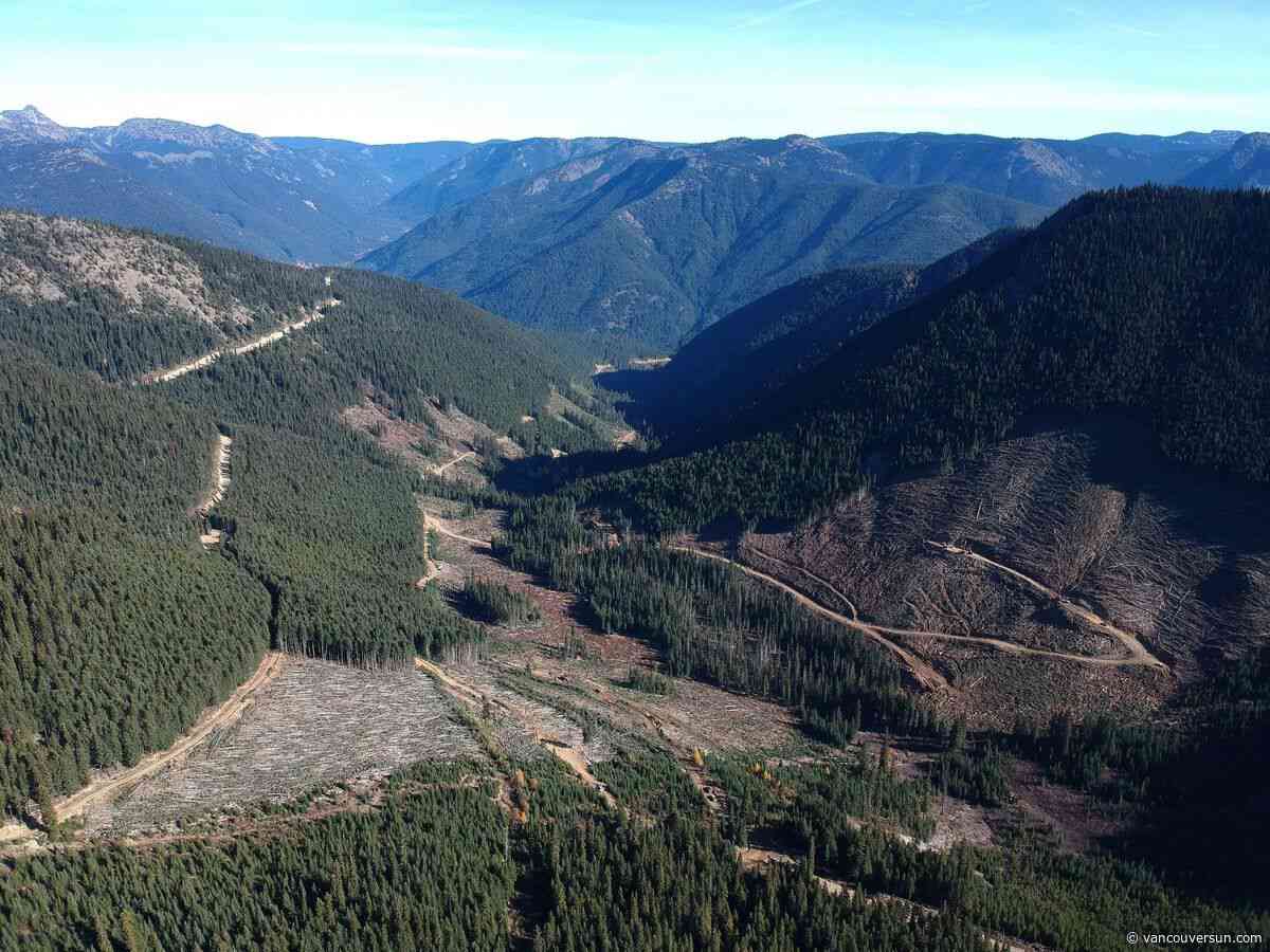 'Backbone' of B.C. outdoor recreation access in jeopardy, say groups