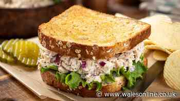 Tuna sandwiches are tastier if you stop adding mayo and throw in 1 ingredient chef loves