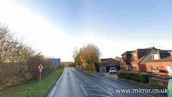 Child dies after being 'struck by lorry' in Essex as driver, 48, arrested