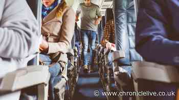 Cabin crew expert reveals 'best seat' on the plane for 'free' perks