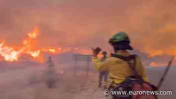 Spain wildfire near Almeria kills 11 and sparks major evacuations