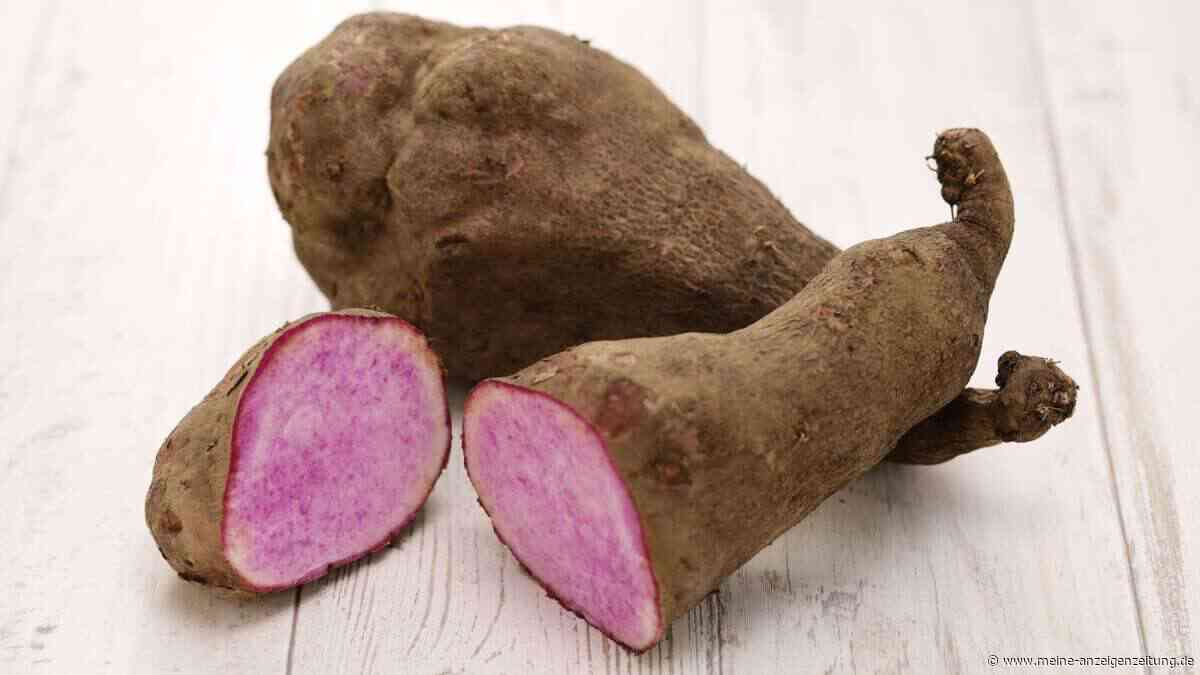 Ube ist das neue Hype-Gemüse: Kann man die lila Wurzel selbst anbauen?