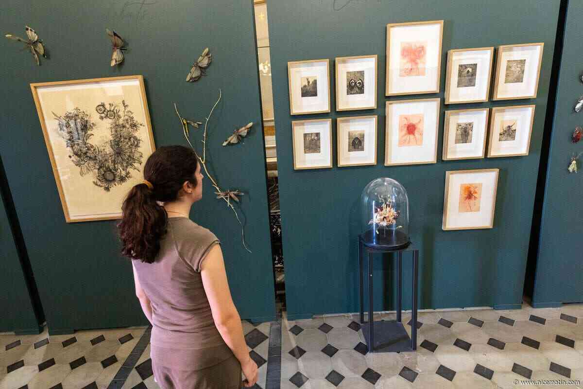 La nature et des animaux s’emparent de l’Été Contemporain pour sa 34e édition organique à Draguignan
