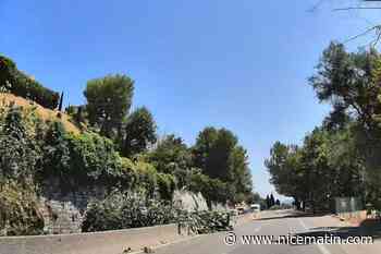 Un arbre chute sur la chaussée et bloque une route très empruntée entre Saint-Paul et Vence pendant plusieurs heures