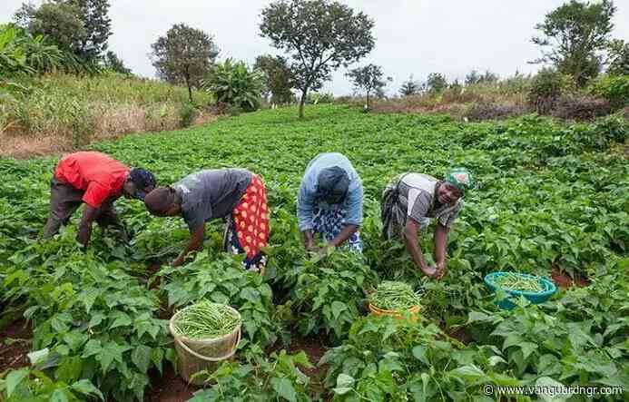 Agric Ministry adopts NIMC identity system to verify genuine farmers