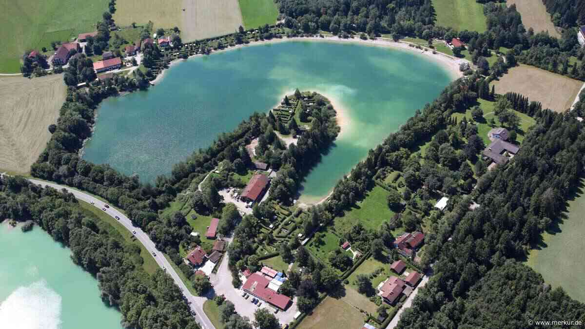 „Kein Handlungsbedarf“: Viele Forellen verenden im See – der Grund könnte künftig viel öfter vorkommen