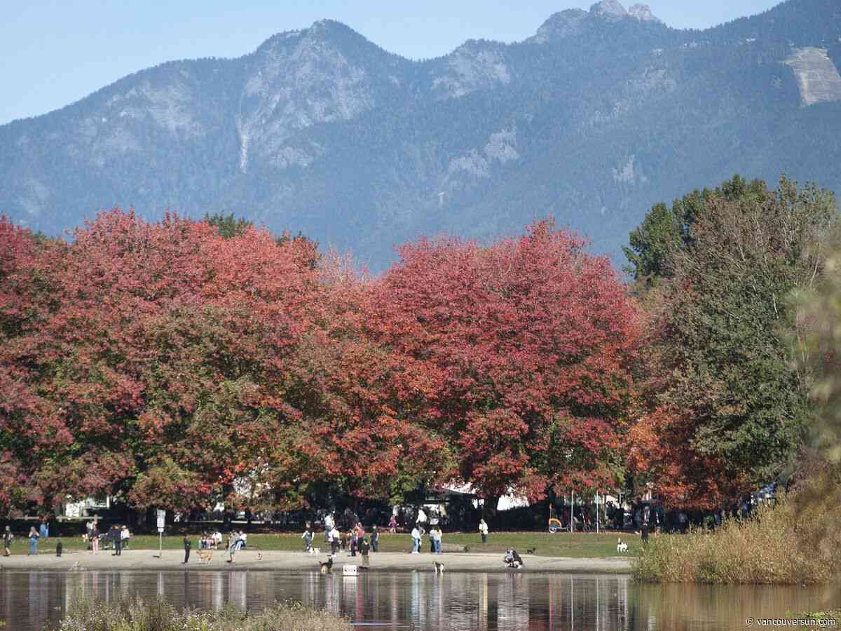 Developer of 26-storey Vancouver tower seeks exemption that would obscure 'precious' views of North Shore mountains