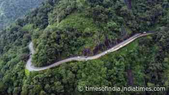 Worth more standing: India’s forests are a $2.5-trillion asset we keep forgetting to count