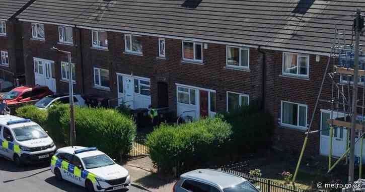 Neighbours of Ann Widdecombe suspect, 28, describe moment he was led away in cuffs by armed police