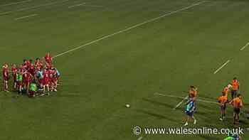 Wales rugby match halted as screams heard on TV coverage and medics rush on