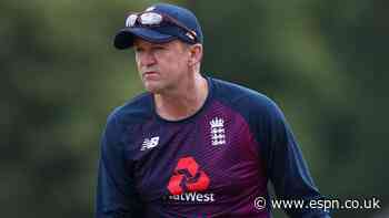 Brendon McCullum successor could job-share with IPL