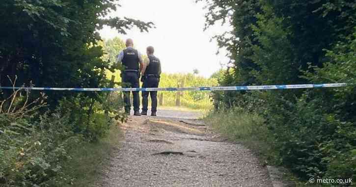 Body in suitcase found during children’s ‘teddy bear hunt’