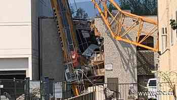 Renewed push for criminal charges 5 years on from Kelowna, B.C., crane disaster