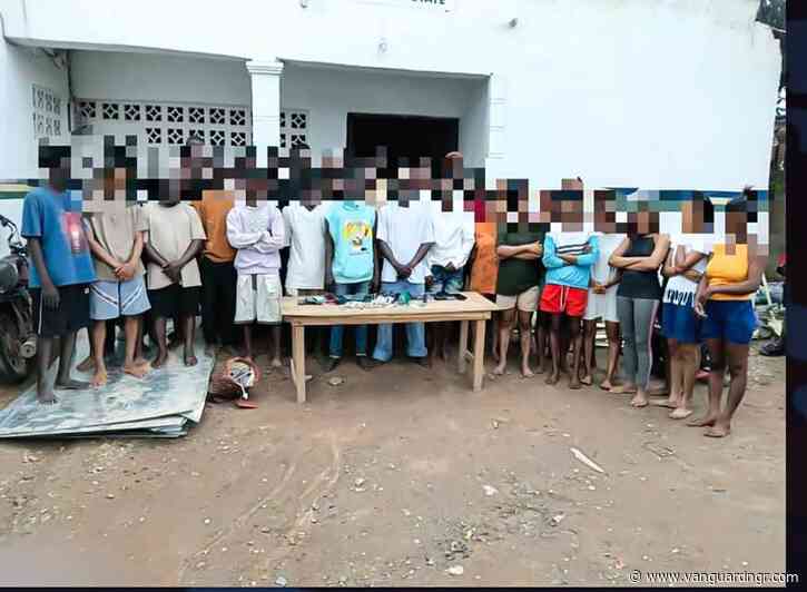 Operation Kosaye: Ogun police arrest 43 suspected criminals