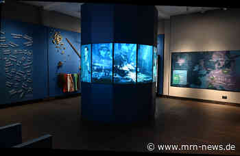 Worms – Neue Nibelungen-Ausstellung im Museum Andreasstift